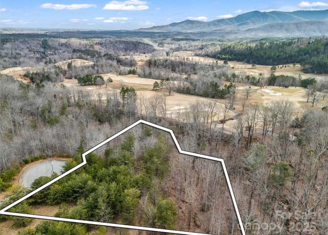 Property at 146 Wee Burn Cv, Mill Spring, NC 28756