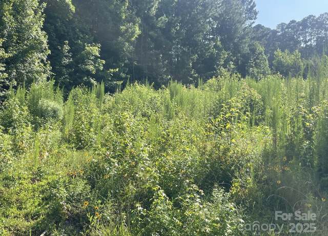 Property at 0 Ski Pond Rd, New London, NC 28127
