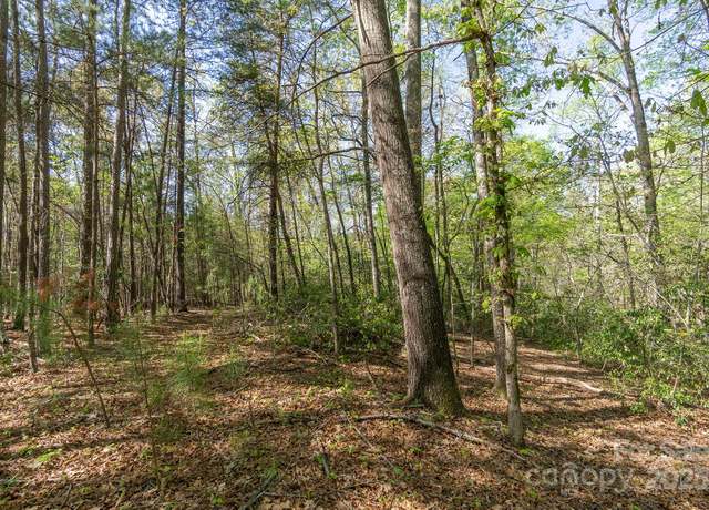 Property at V/L Easy St Unit 11 and 12, Lake Lure, NC 28746