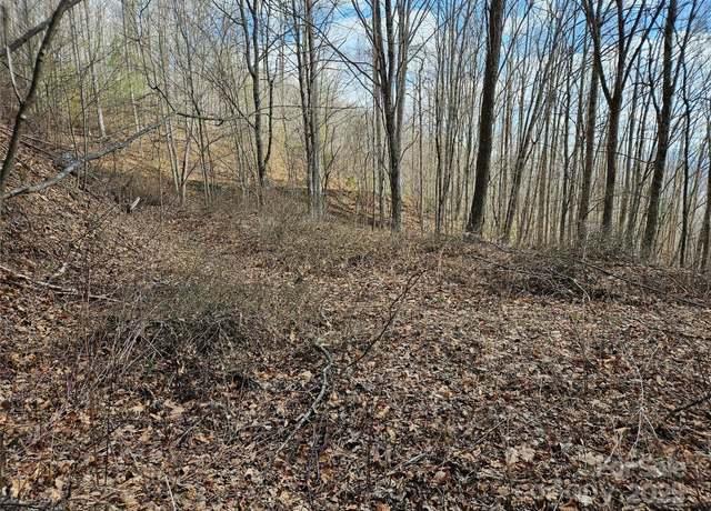 Property at 00 Wolverine Ct #45, Waynesville, NC 28785