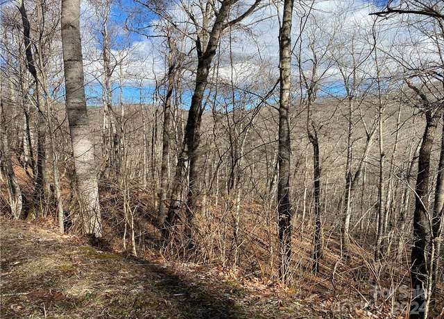 Property at 000 Birdymay Dr #137, Tuckasegee, NC 28783