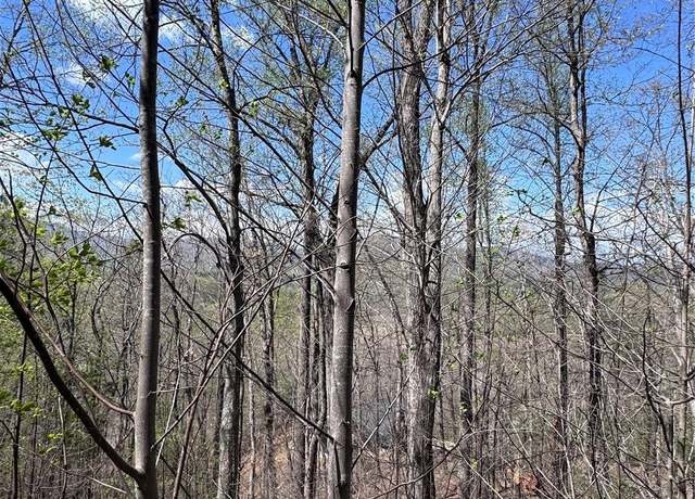 Property at 0 High Pines Loop #158, Lake Lure, NC 28746