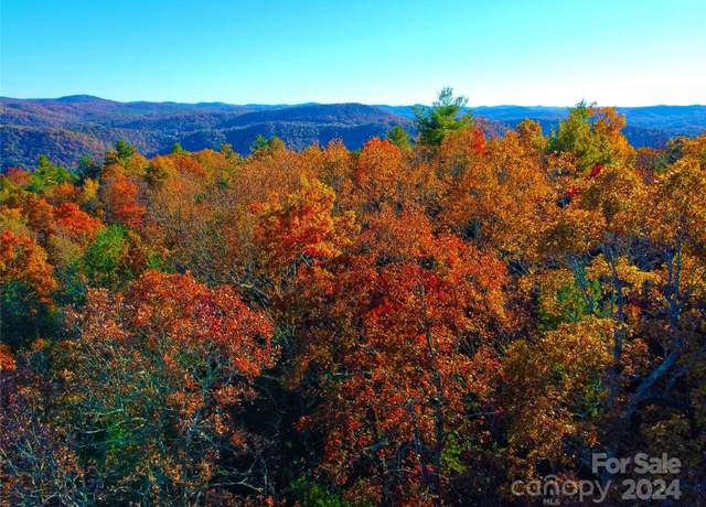 Property at Lot D2 000 Dogwood Ln, Penrose, NC 28766