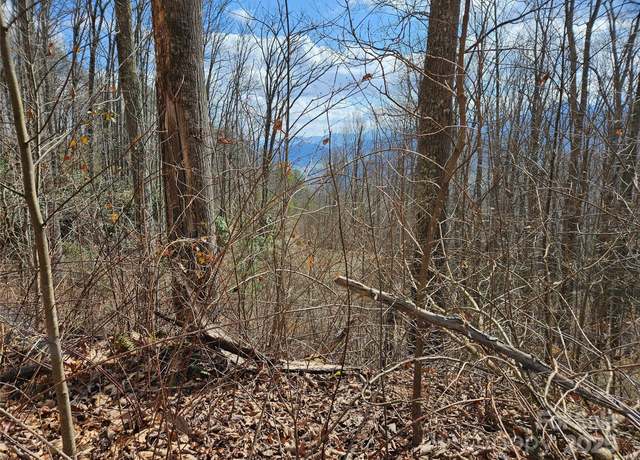 Property at 00 Wolverine Ct #48, Waynesville, NC 28785