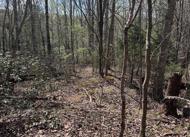 Property at 0 Brookside Pkwy #10, Lake Lure, NC 28746