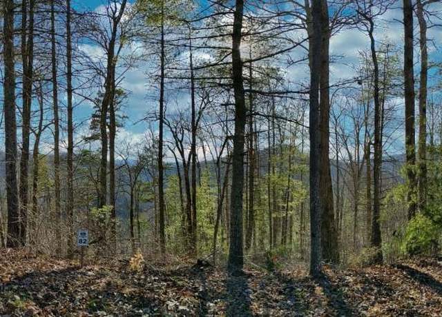 Property at 82 Bear River Lodge Trl, Marshall, NC 28753
