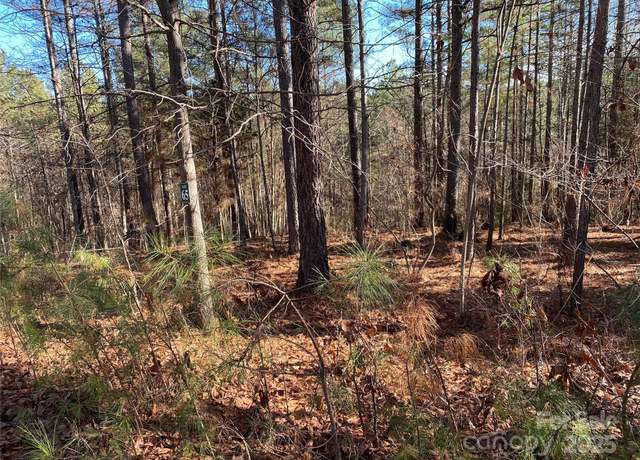 Property at 2052 Lighthouse Ln, Connelly Springs, NC 28612