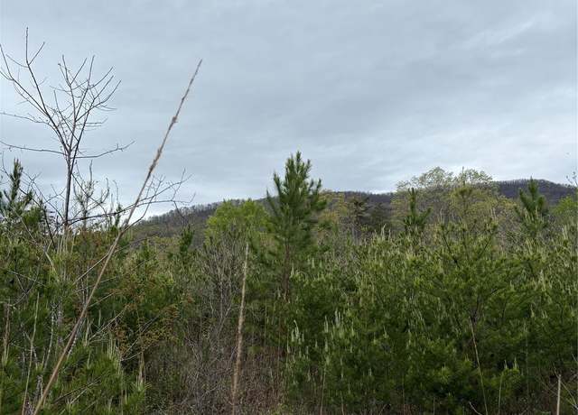Property at 0 Rose Hollow Dr Unit Tract 1, Mill Spring, NC 28756