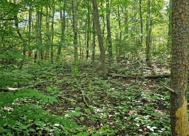 Property at 99999 Campground Rd, Asheville, NC 28805