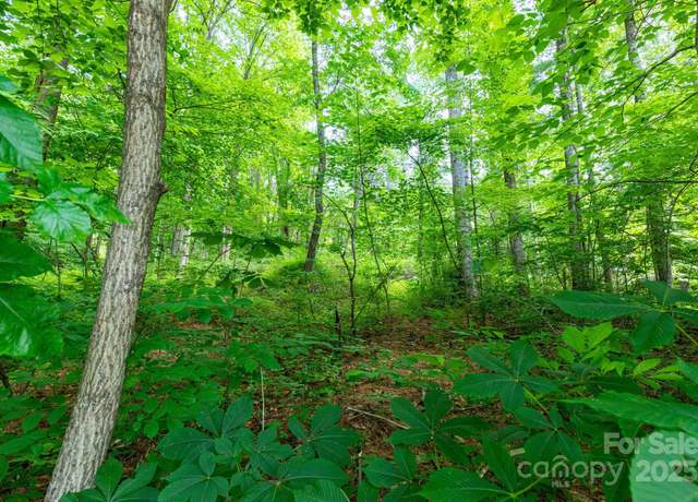 Property at TBD Woodfin Rd, Sylva, NC 28779