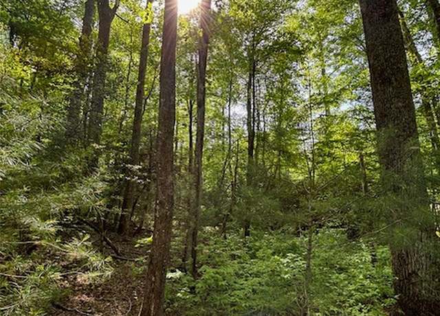 Property at 99999 Small Creek Rd #4, Brevard, NC 28712