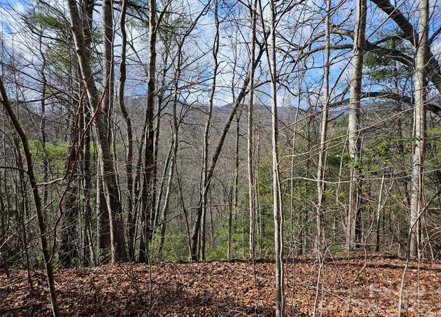Property at 00 Wispy Willow Dr Unit 24T, Waynesville, NC 28785