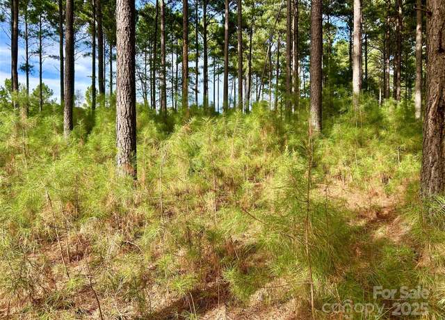 Property at 224 Plantation Way, Mount Gilead, NC 27306