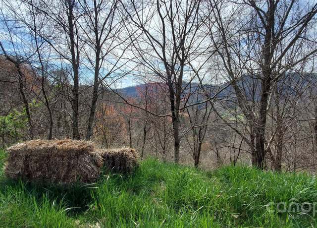 Property at 9999 Sunset Falls Dr, Clyde, NC 28716
