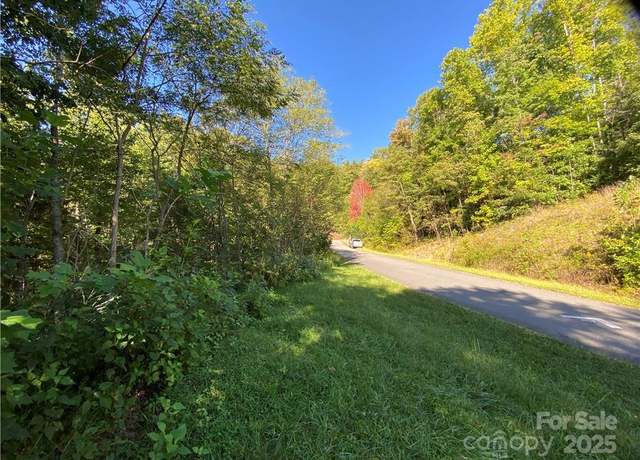 Property at 46 Holmstead Dr #46, Lake Lure, NC 28746