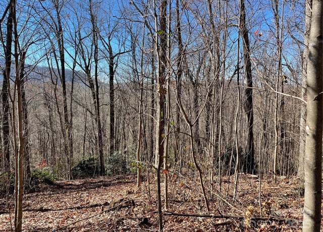 Property at 9999-1 Nesbitt Chapel Rd, Fairview, NC 28730