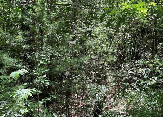 Property at 00 Pleasant Grove Church Rd, Hendersonville, NC 28792