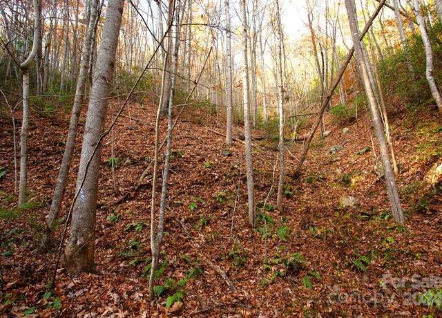 Property at TBD Rector Branch Rd #4, Marshall, NC 28743