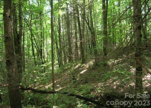 Property at Lot 19 Sunkota Trl, Bryson City, NC 28713