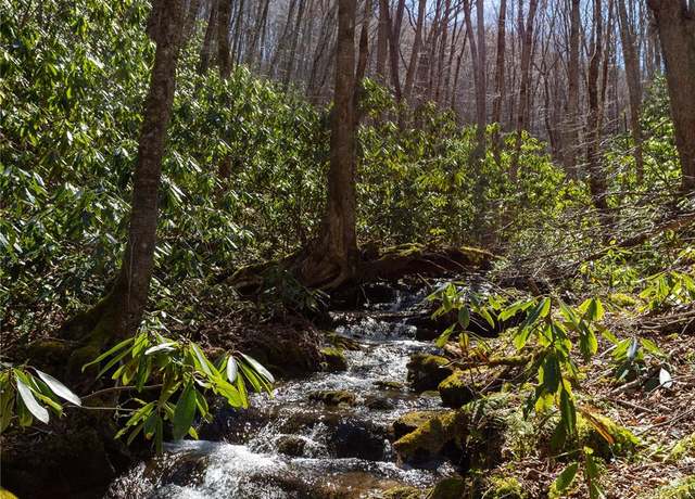 Property at Lot 50 Bearwallow Ridge Trl #50, Qualla, NC 28719