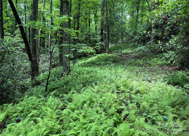 Property at TBD Caroline Ln Unit 7R, Pisgah Forest, NC 28768