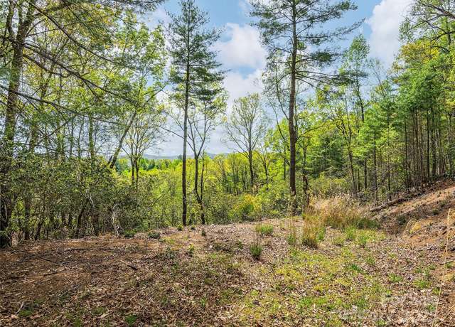 Property at Lot #56 Winterberry Dr, Hendersonville, NC 28739