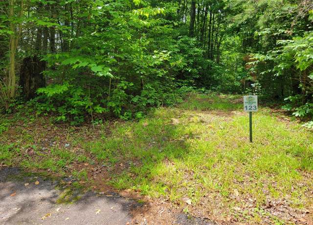 Property at TBD Bear River Lodge Rd #123, Marshall, NC 28753