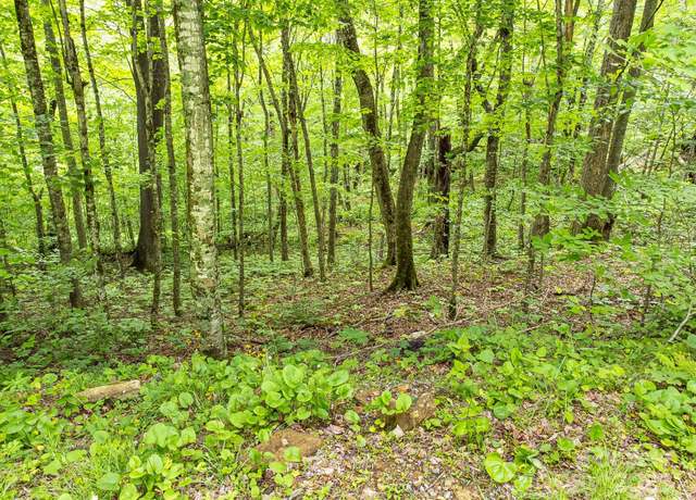 Property at 65 Bee Tree Ln, Mars Hill, NC 28754