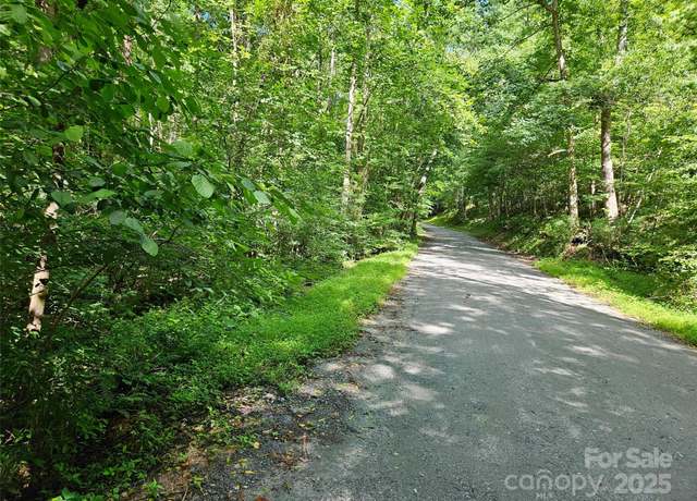 Property at 0 Sandpiper Ave #163, Lake Lure, NC 28746