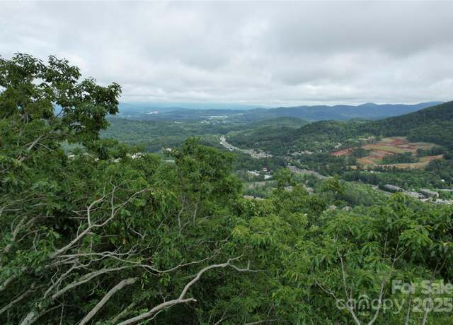 Property at 52 Castanea Mountain Dr, Asheville, NC 28803