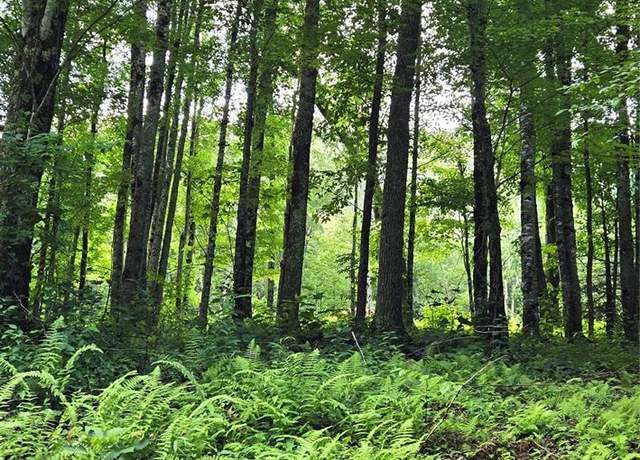 Property at 108 Tenderfoot Trl Unit 108 & 109, Maggie Valley, NC 28751
