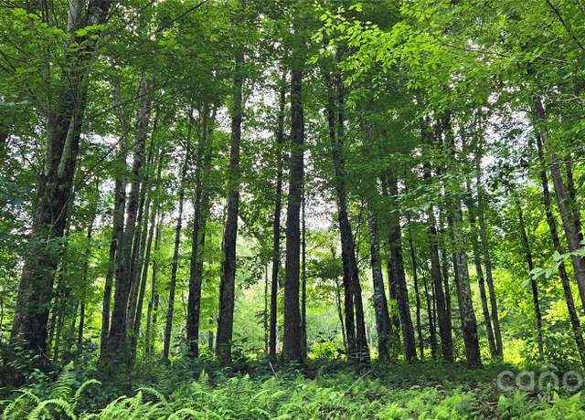 Property at 108 Tenderfoot Trl Unit 108 & 109, Maggie Valley, NC 28751