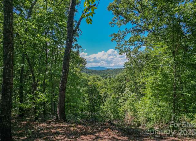 Property at Lot 6 S Cross Creek Trl, Mill Spring, NC 28756