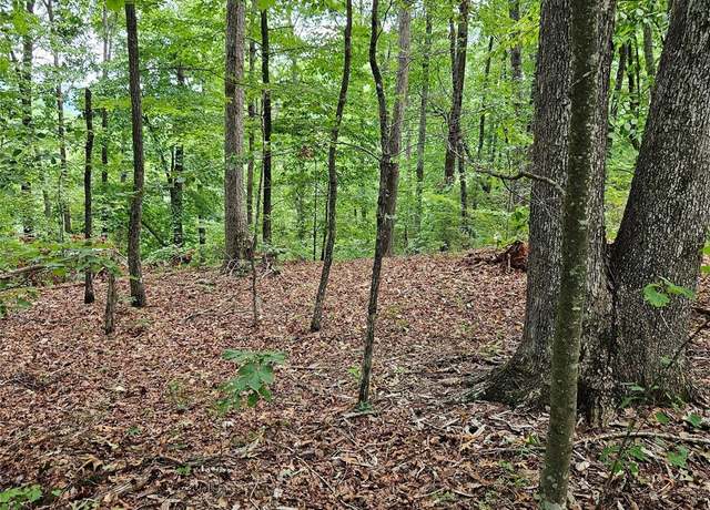 Property at 0 Deer Jump Trl #347, Lake Lure, NC 28746