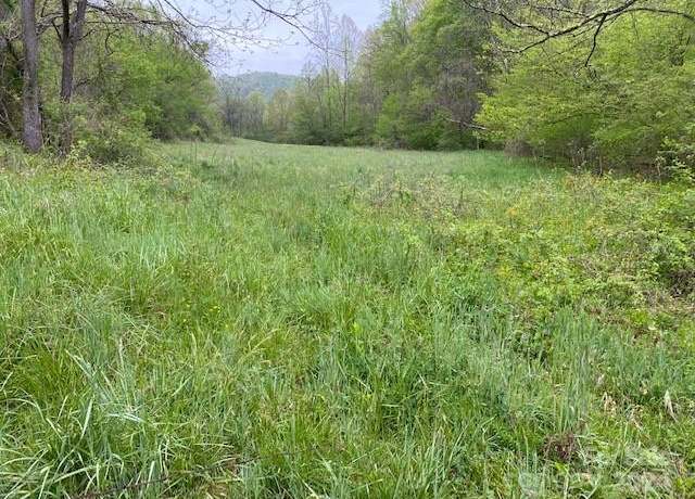 Property at 547 Long Branch Rd Unit Tract 2, Marshall, NC 28753