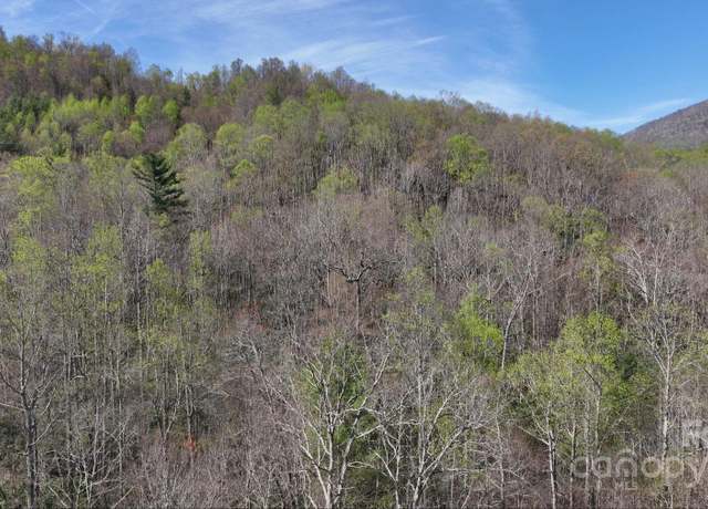 Property at 0 Gusher Knob Rd, Newland, NC 28657