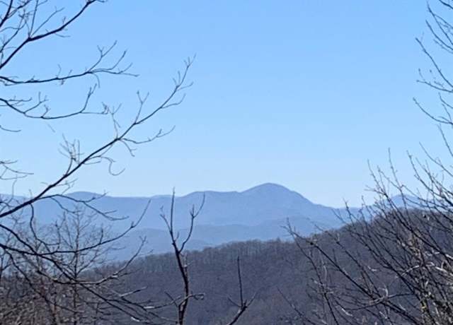 Property at 9999 Ebby Ridge Dr #336, Fairview, NC 28730