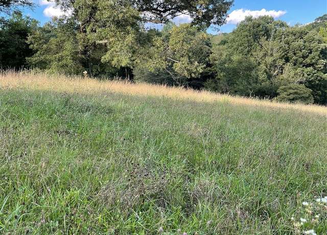 Property at na Hendrix Dr, Candler, NC 28715