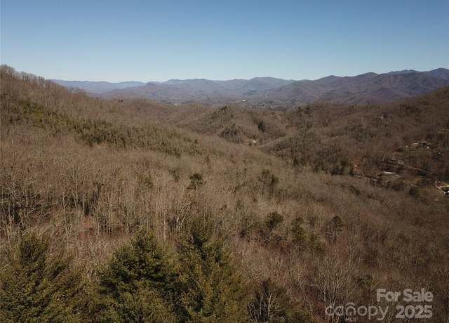 Property at TBD Andrew Davis Rd, Whittier, NC 28789
