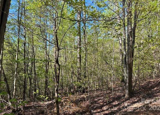 Property at V/L #13 Deer Crossing Dr, Marion, NC 28752
