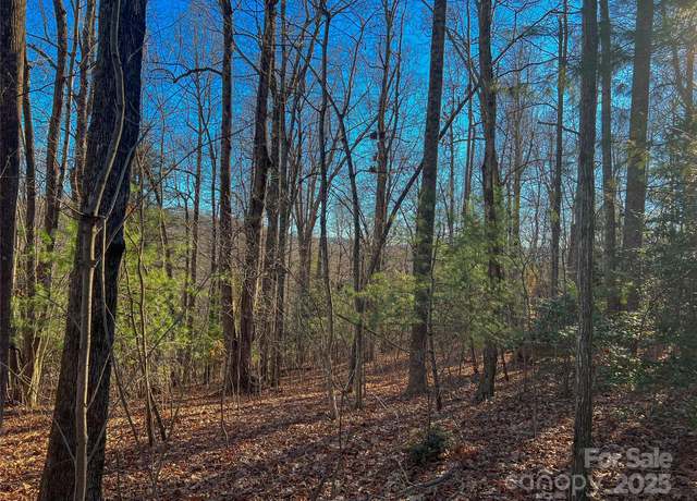 Property at 203 Bent Pine Trce #179, Hendersonville, NC 28739