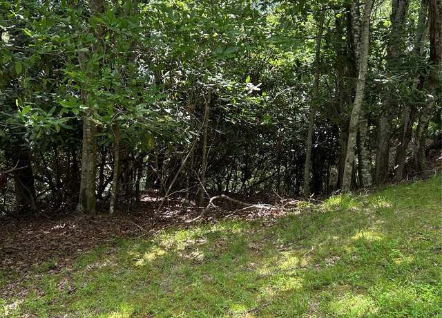Property at TBD Connestee Trl Unit UO2/L406, Brevard, NC 28712