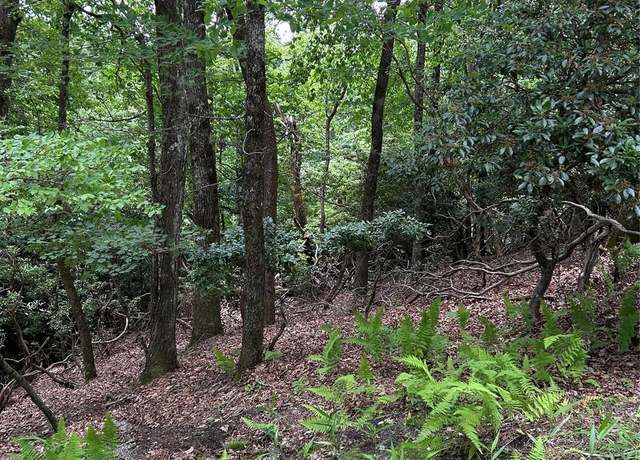 Property at TBD Connestee Trl Unit UO2/L406, Brevard, NC 28712