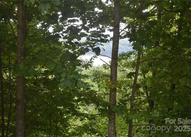 Property at 129 Captains Dr #221, Nebo, NC 28761