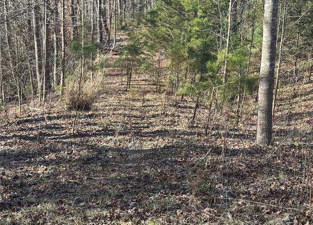 Property at 206 Westmoreland Trl #8, Tryon, NC 28782