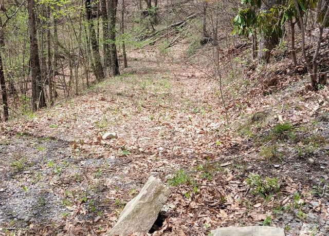 Property at 9999 Clara Corn Dr, Maggie Valley, NC 28751