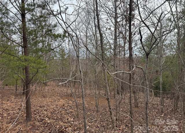Property at 00 Stonecrest Pkwy, Mill Spring, NC 28756