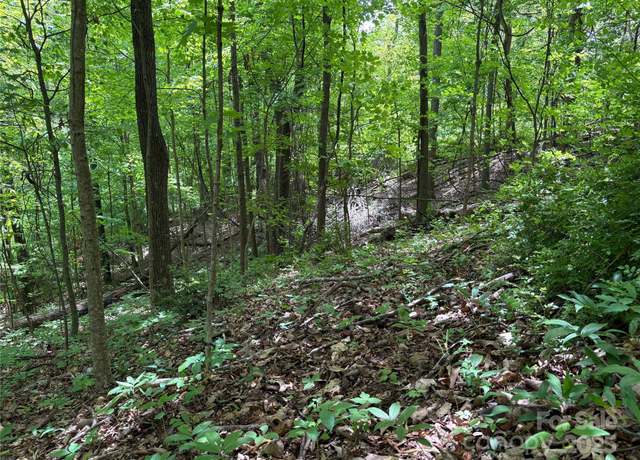 Property at TBD Adams St #1, Waynesville, NC 28786