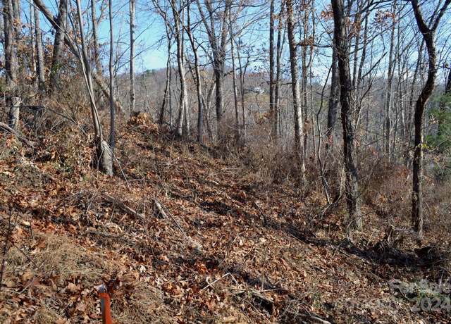 Property at 377 Elk Mountain Scenic Hwy, Asheville, NC 28804