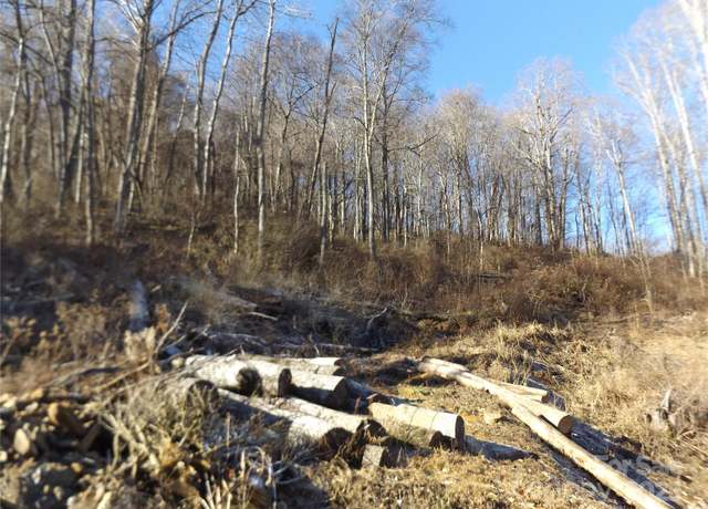 Property at 00 Kims Cove Rd, Canton, NC 28716